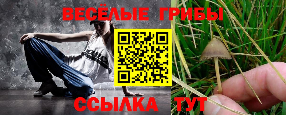 Кострома  Псилоцибиновые грибы GOLDEN TEACHER  Вход с VPN 